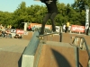 shecklerovertorunrevert