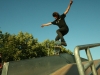 shecklerovertorunrevert2